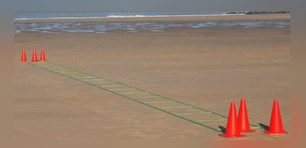 transponder line